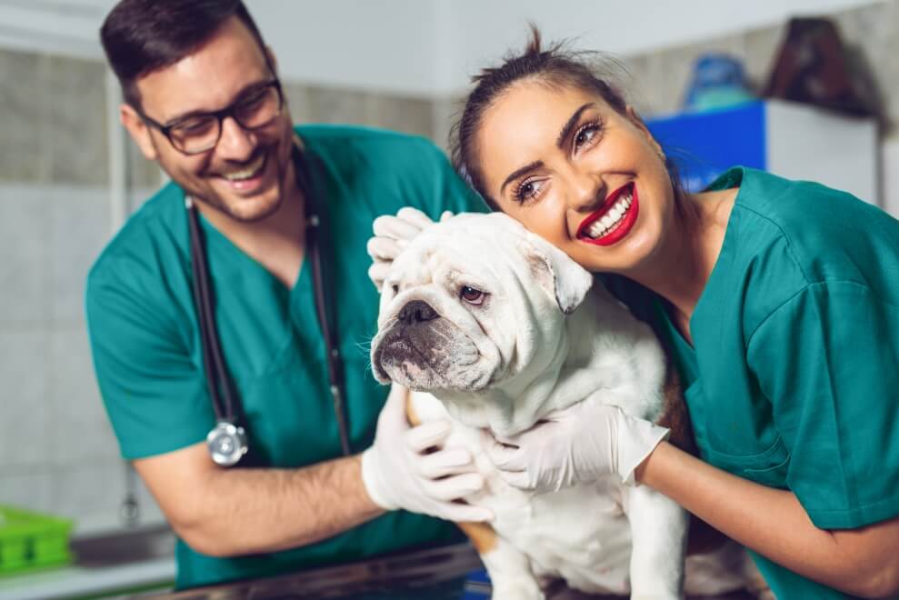Careers Franklin Animal Clinic
