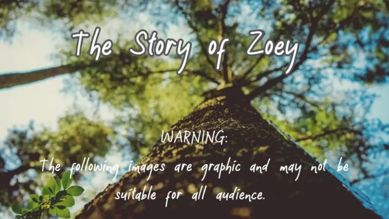 The Story of Zoey